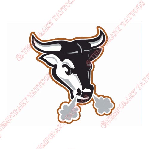 Durham Bulls Customize Temporary Tattoos Stickers NO.7965